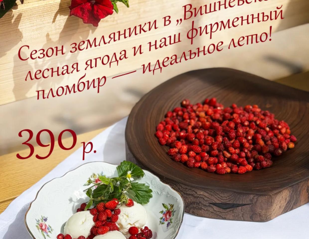 Сезон земляники